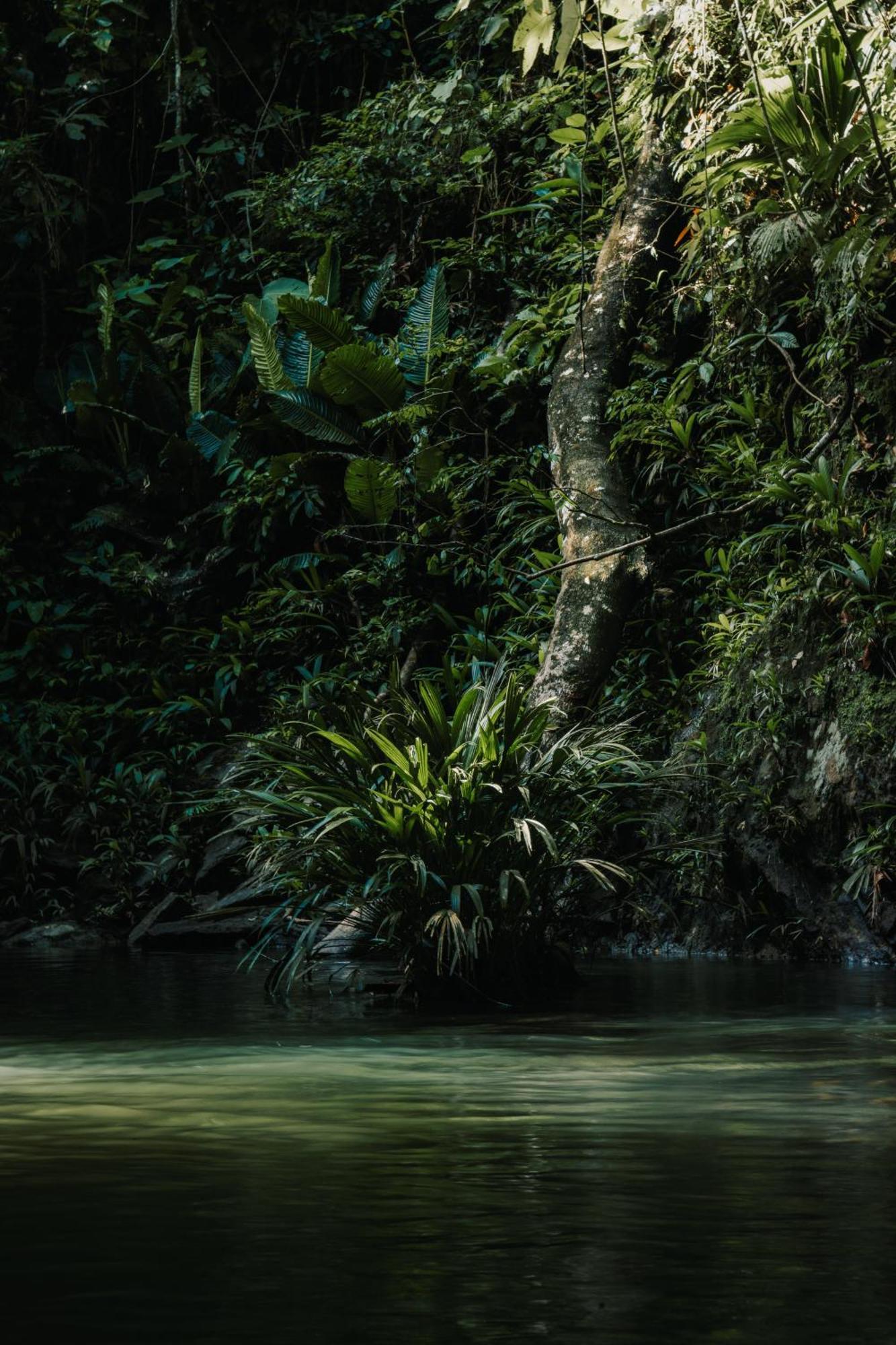El Rio Hotel Дорадаль Экстерьер фото